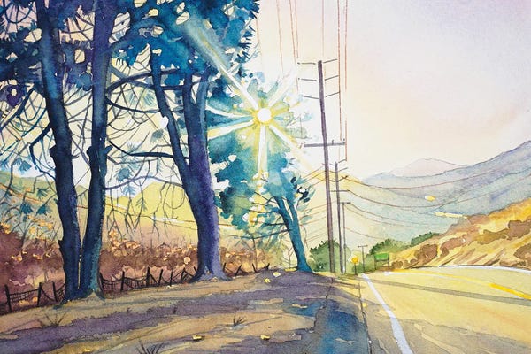 Trees: Three Pines On Mulholland by Luisa Millicent