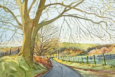 Ratlinghope Lane - Shropshire by Luisa Millicent canvas print