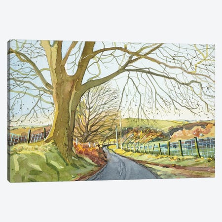 Ratlinghope Lane - Shropshire Canvas Print #LSM75} by Luisa Millicent Canvas Wall Art