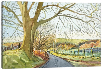 Ratlinghope Lane - Shropshire Canvas Art Print - Luisa Millicent