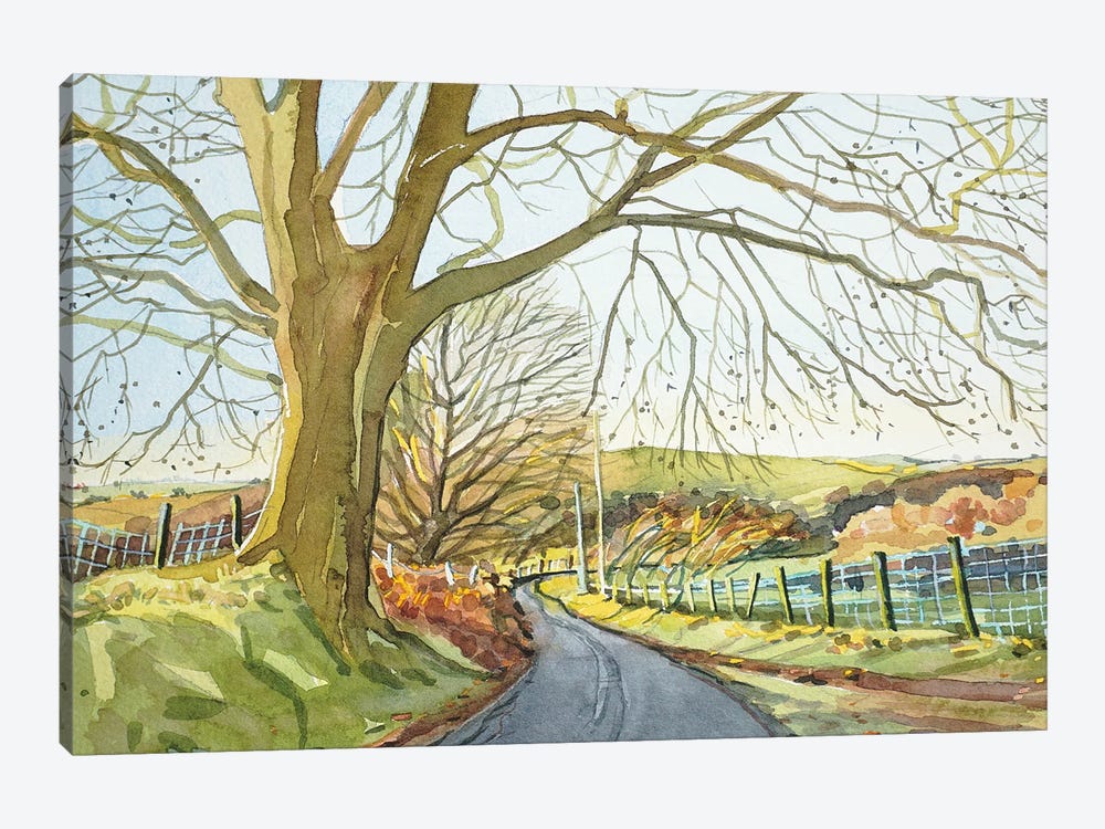 Ratlinghope Lane - Shropshire by Luisa Millicent 1-piece Canvas Print