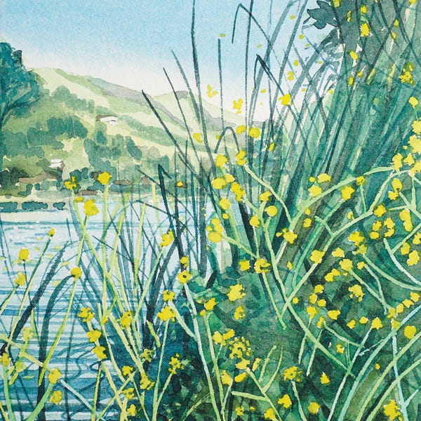 Hillsides: Spring Colors At The Lakeside by Luisa Millicent