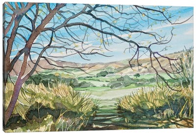 Las Virgenes Valley - Spring Canvas Art Print - Valley Art