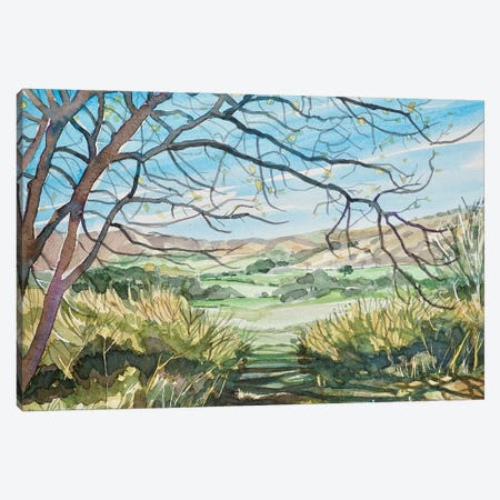 Las Virgenes Valley - Spring Canvas Print #LSM78} by Luisa Millicent Canvas Art Print