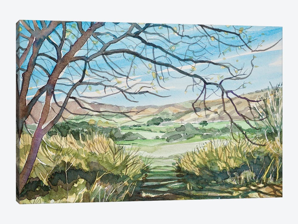 Las Virgenes Valley - Spring by Luisa Millicent 1-piece Canvas Art