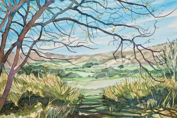 Luisa Millicent: Las Virgenes Valley - Spring by Luisa Millicent