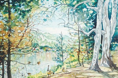 Spring View - Malibou Lake by Luisa Millicent art print