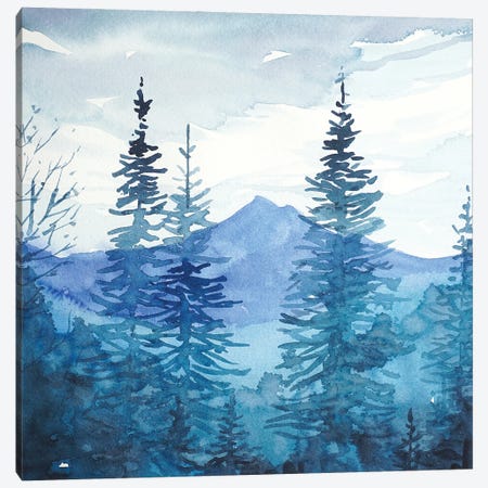 Winter - Santa Monica Mountains Canvas Print #LSM91} by Luisa Millicent Canvas Print