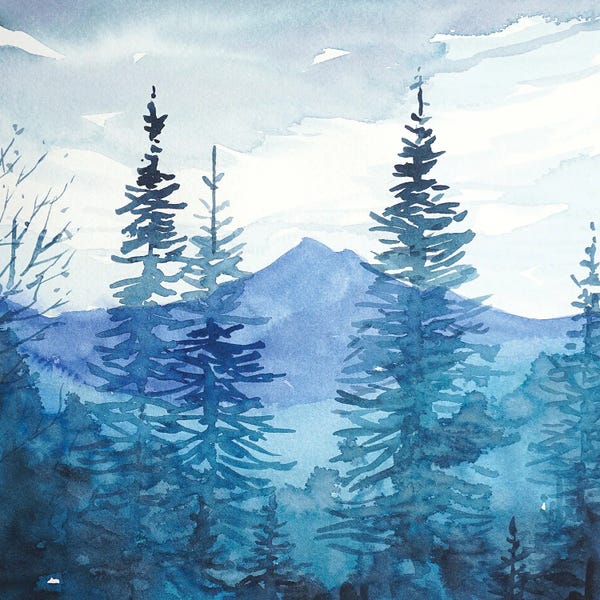 Pine Trees: Winter - Santa Monica Mountains by Luisa Millicent