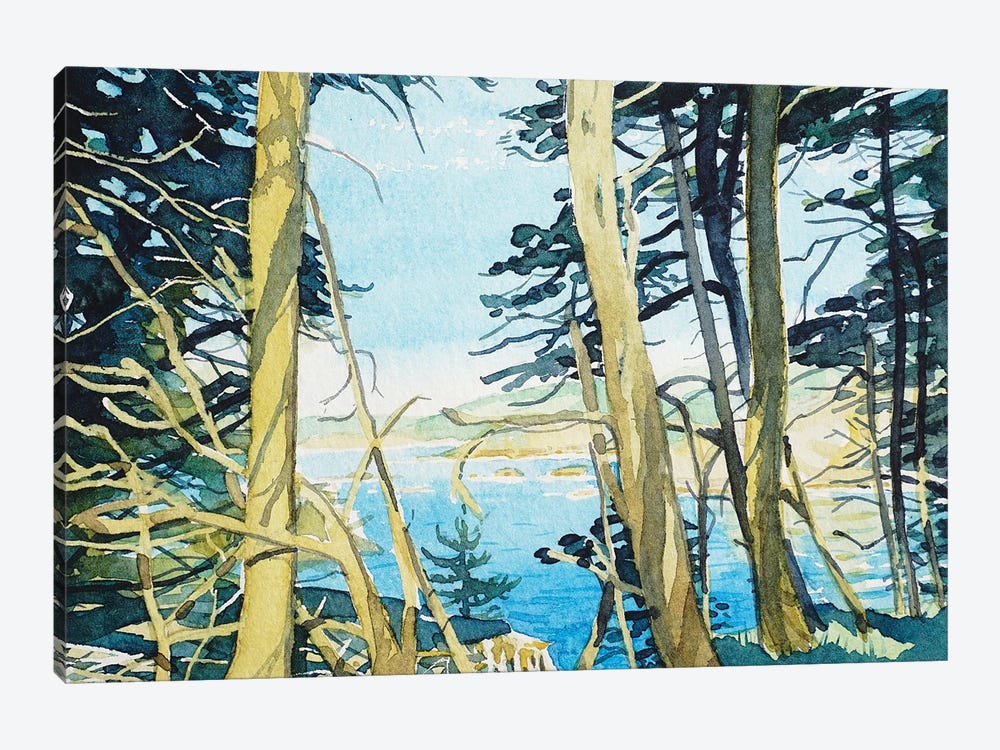 Through The Trees At Point Lobos by Luisa Millicent 1-piece Canvas Art Print