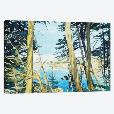 Through The Trees At Point Lobos Canvas Print #LSM93} by Luisa Millicent Canvas Art Print