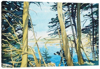 Through The Trees At Point Lobos Canvas Art Print - Luisa Millicent