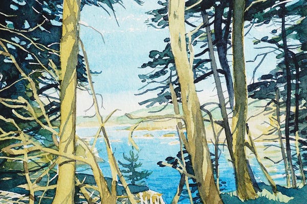 Trees: Through The Trees At Point Lobos by Luisa Millicent