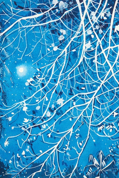 Trees: Topanga Nights On Bonnell by Luisa Millicent