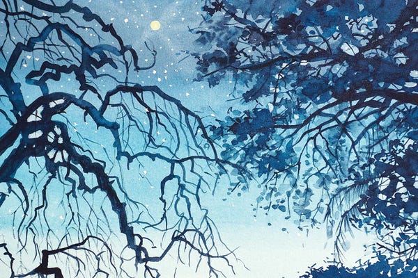 Trees: Topanga Skyline by Luisa Millicent