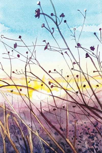 Topanga Sunset by Luisa Millicent art print