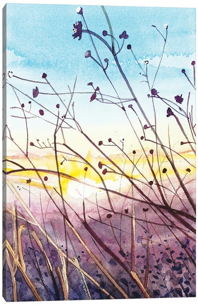 Topanga Sunset Canvas Art Print - Luisa Millicent