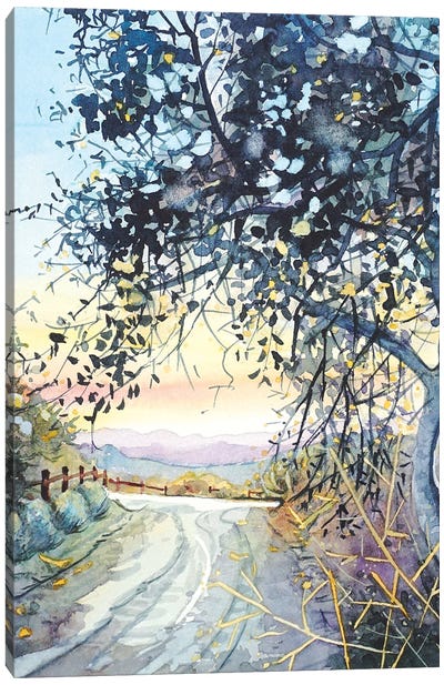 Topanga Trail Canvas Art Print - Serene Watercolors