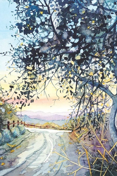 Refreshing Workspace: Topanga Trail by Luisa Millicent