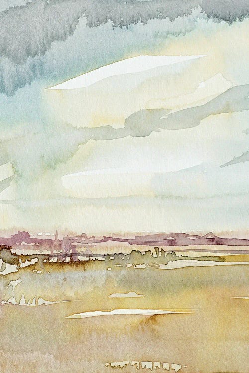 Desert Rain