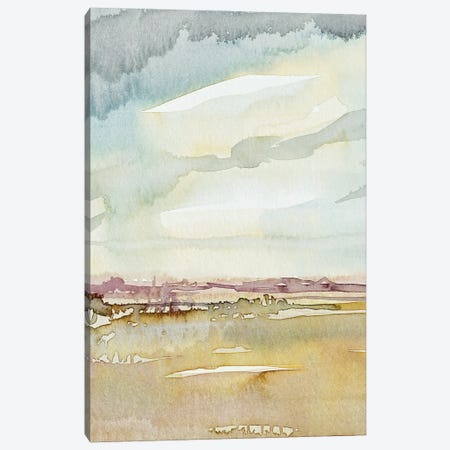 Desert Rain Canvas Print #LSM99} by Luisa Millicent Canvas Art Print