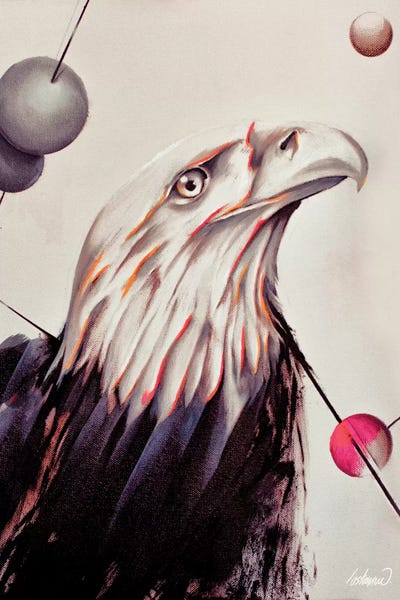 Eagle Force Painting Oil By Lostanaw by Lostanaw canvas print