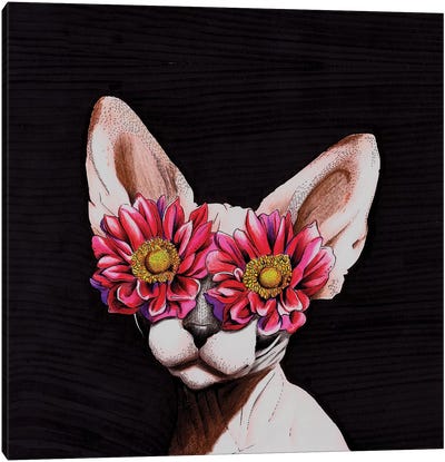 Egyptian Cat Canvas Art Print - Hairless Cat Art