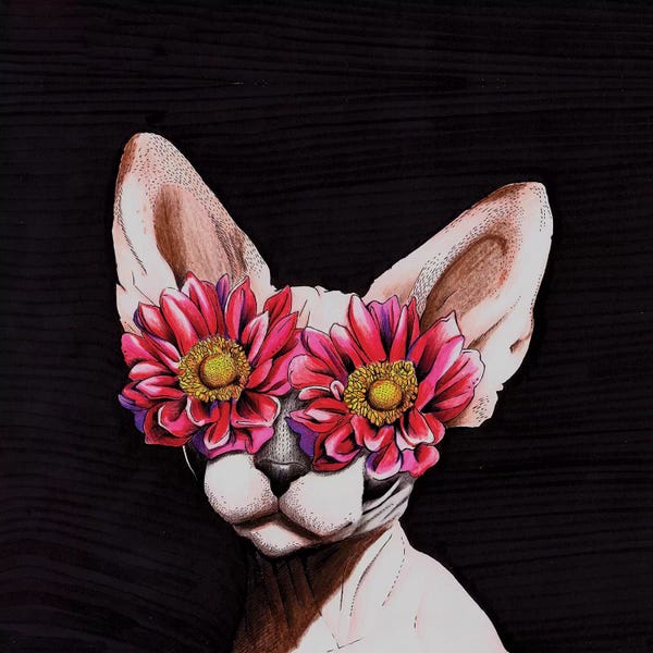 Hairless Cats: Egyptian Cat by Lostanaw