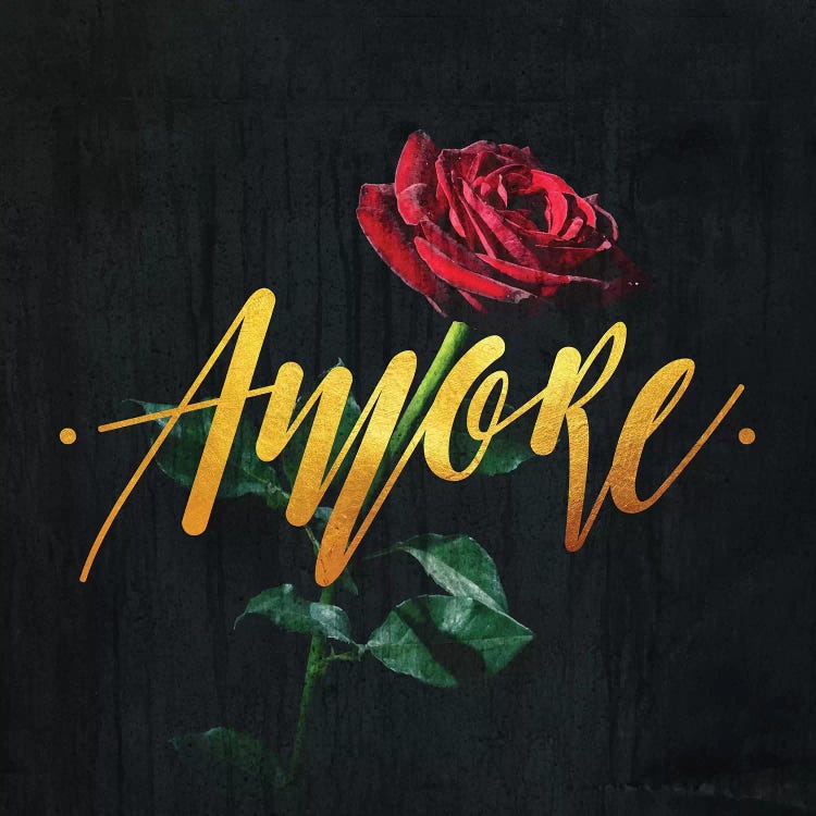 Amore by Lostanaw wall art