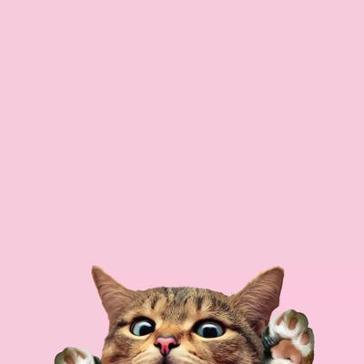 Bye Cat by Lostanaw multi panel art