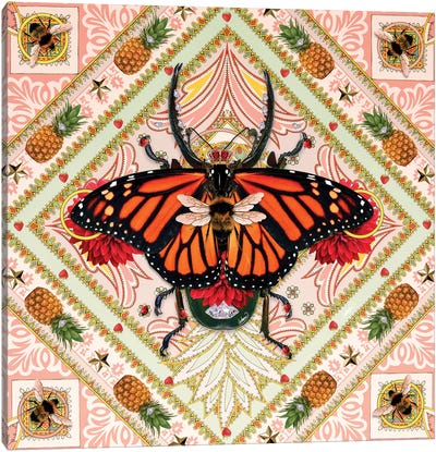 King Of Insects I Canvas Art Print - Monarch Metamorphosis