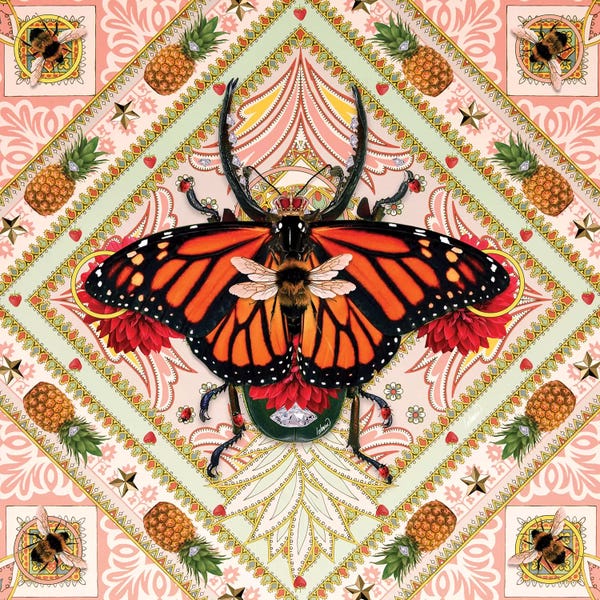 Monarch Butterflies: King Of Insects I by Lostanaw