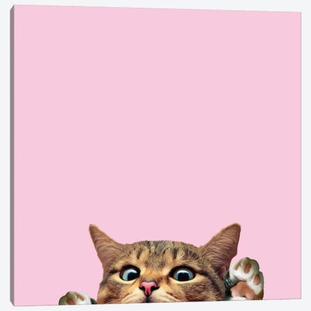 Bye Cat Canvas Print #LSN2} by Lostanaw Canvas Artwork