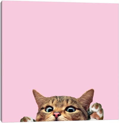 Bye Cat Canvas Art Print