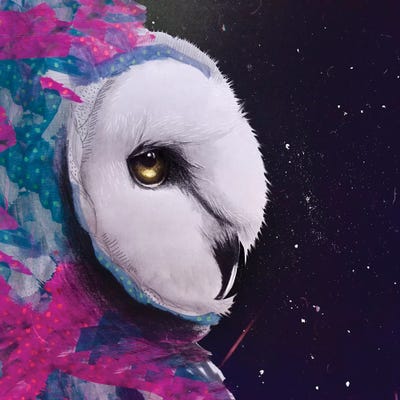 Owl Watercolor Tapices by Lostanaw canvas print