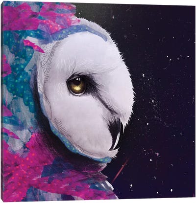 Owl Watercolor Tapices Canvas Art Print - Lostanaw