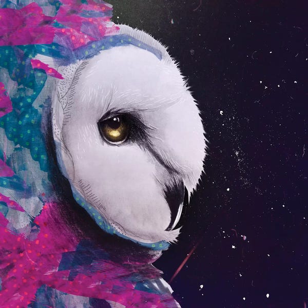 Lostanaw: Owl Watercolor Tapices by Lostanaw