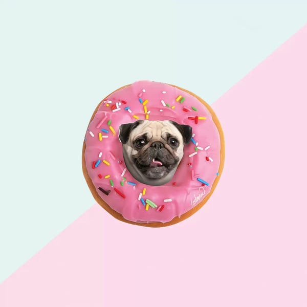 Pop Art Kitchen: Pug Donut Strawberry I by Lostanaw