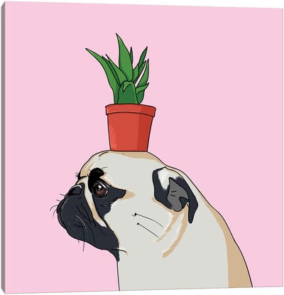 Pug Flower Pot Canvas Art Print - Pug Art