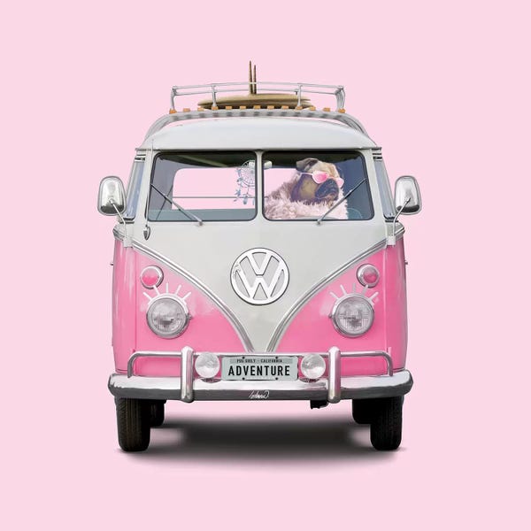 Pug Girly Adventure