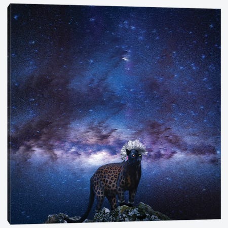 Punk Panther Slin Leopard Canvas Print #LSN44} by Lostanaw Canvas Wall Art