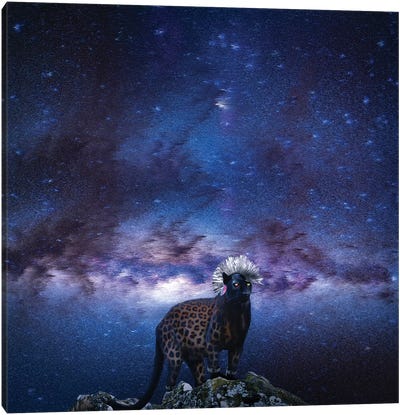 Punk Panther Slin Leopard Canvas Art Print - Lostanaw