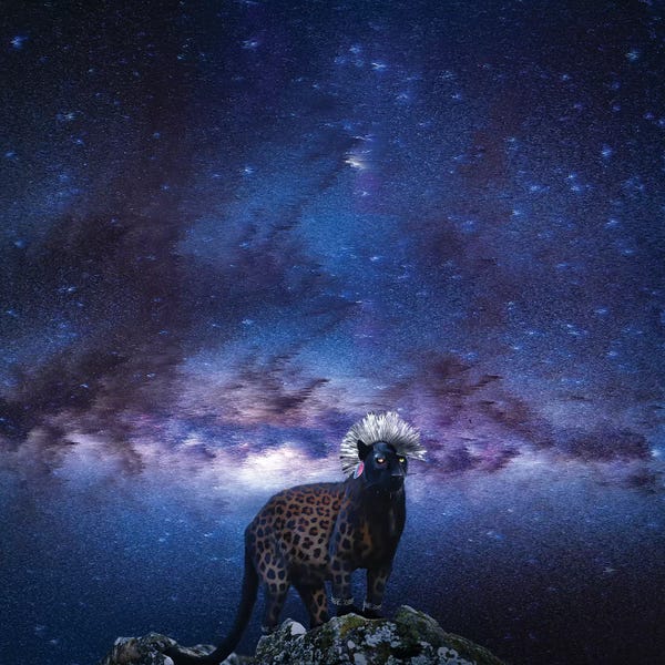 Panthers: Punk Panther Slin Leopard by Lostanaw