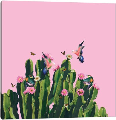 The Succulent Cactus Canvas Art Print - Lostanaw