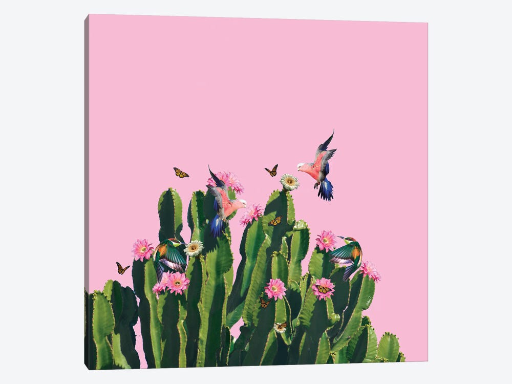 The Succulent Cactus by Lostanaw 1-piece Canvas Print