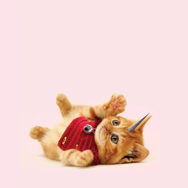 Imagination: Unicorn Cat by Lostanaw