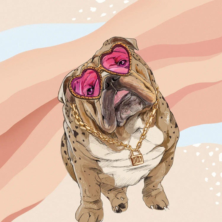 Fashion Bulldog