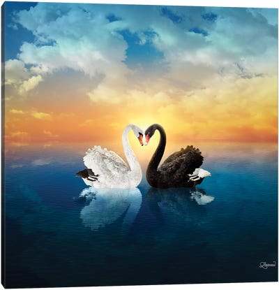 Cisnes Love Canvas Art Print - Swan Art