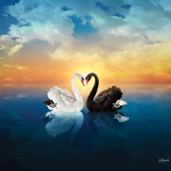 Love Birds: Cisnes Love by Lostanaw