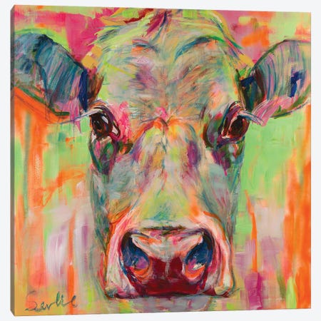 Cow Portrait XII Canvas Print #LSR14} by Liesbeth Serlie Canvas Art Print